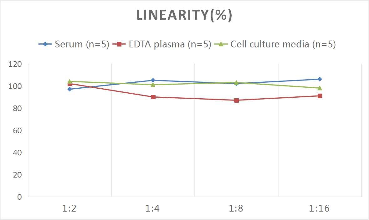 Rat VEGF-B ELISA Kit (Colorimetric)