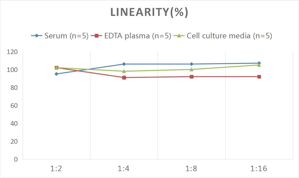 Mouse VEGF-B ELISA Kit (Colorimetric)