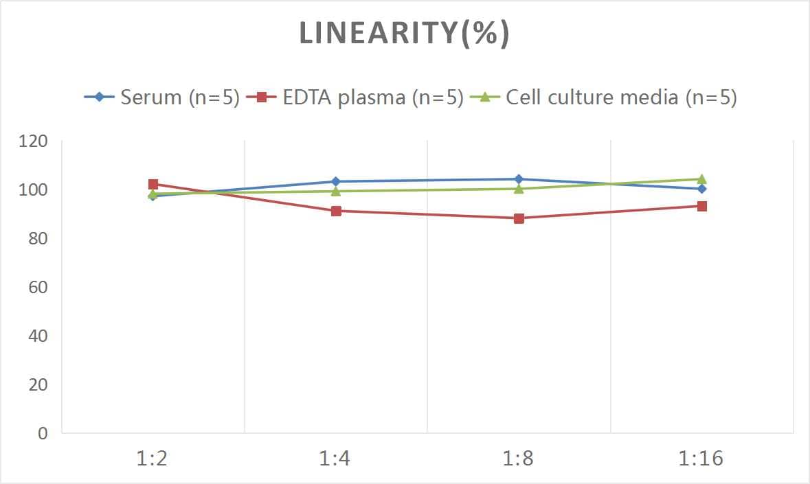 Human VEGF 165 ELISA Kit (Colorimetric)