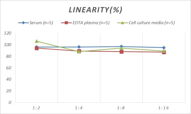 Rat Undercarboxylated Osteocalcin ELISA Kit (Colorimetric)