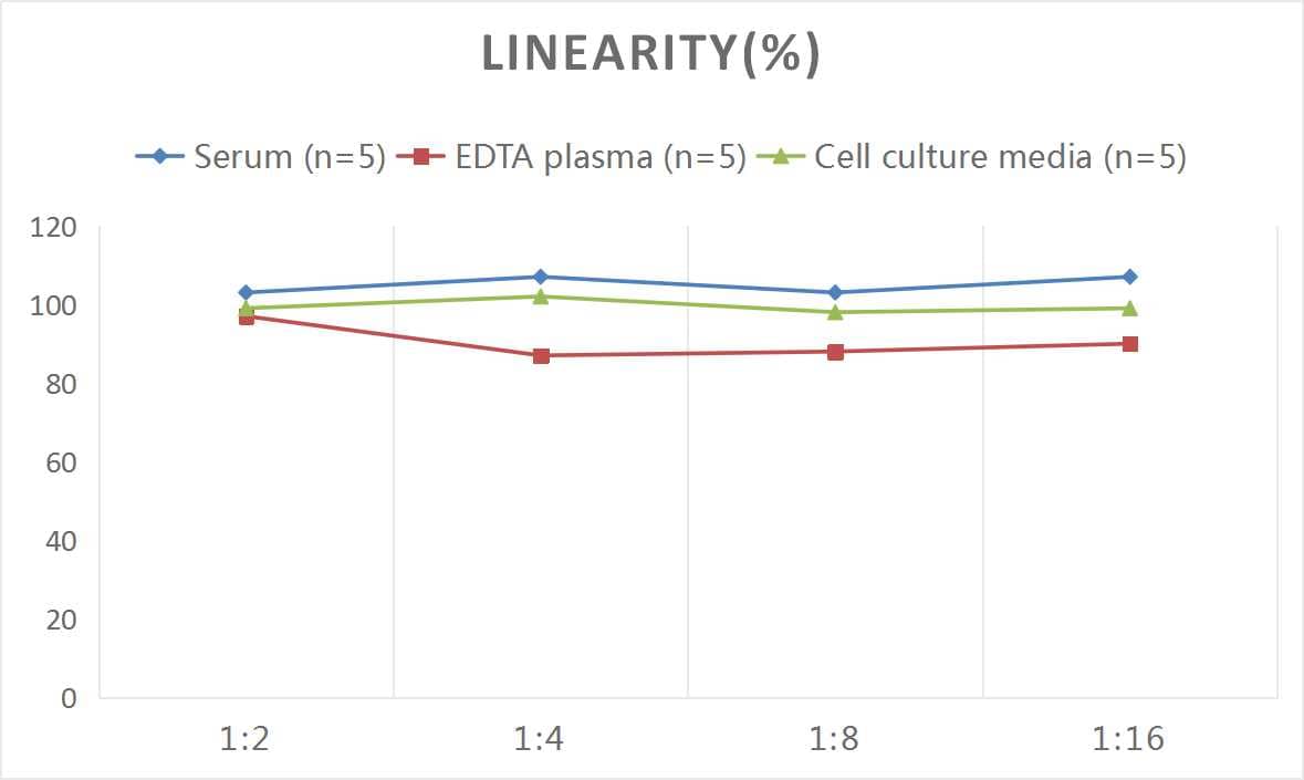 Rat Oxidized LDL ELISA Kit (Colorimetric)