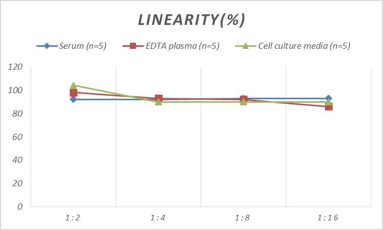 Human Connexin 26/GJB2 ELISA Kit (Colorimetric)