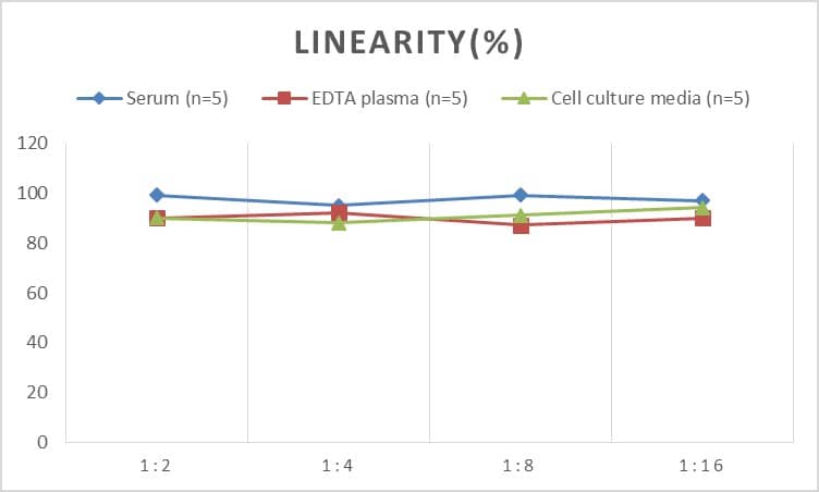 Rat Connexin 26/GJB2 ELISA Kit (Colorimetric)