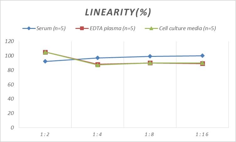 Human Connexin 31/GJB3 ELISA Kit (Colorimetric)