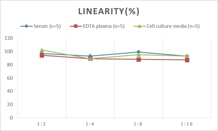 Mouse Connexin 31/GJB3 ELISA Kit (Colorimetric)