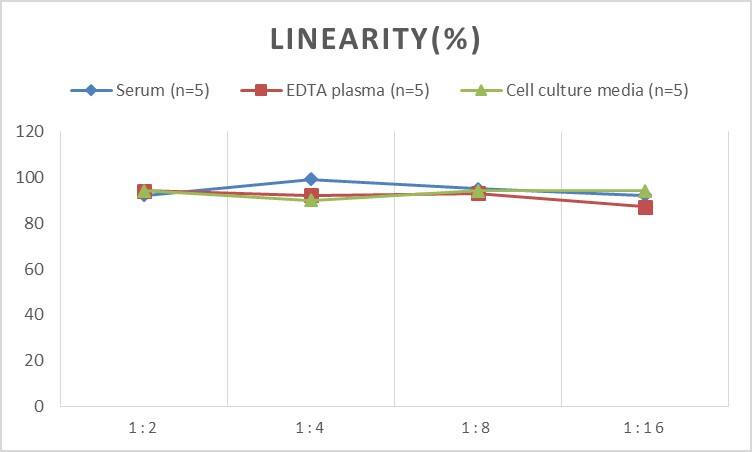 Rat Connexin 31/GJB3 ELISA Kit (Colorimetric)