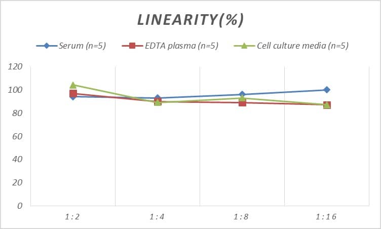 Human Connexin 37/GJA4 ELISA Kit (Colorimetric)