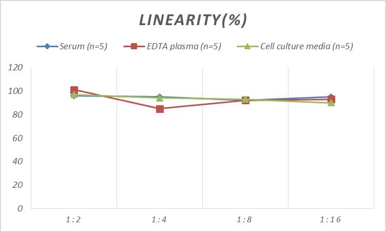 Mouse Connexin 37/GJA4 ELISA Kit (Colorimetric)