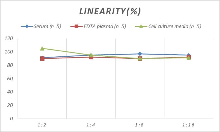 Rat Connexin 37/GJA4 ELISA Kit (Colorimetric)