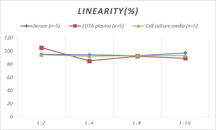 Human ECE-1 ELISA Kit (Colorimetric)