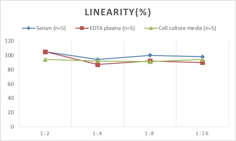 Mouse ECE-1 ELISA Kit (Colorimetric)