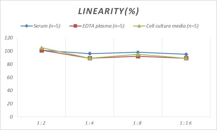 Human EDNRB/Endothelin R Type B ELISA Kit (Colorimetric)