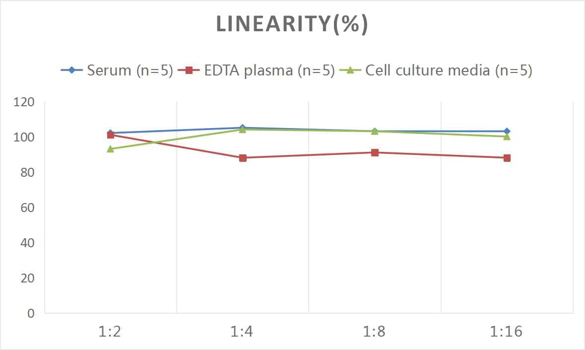 Mouse eNOS ELISA Kit (Colorimetric)