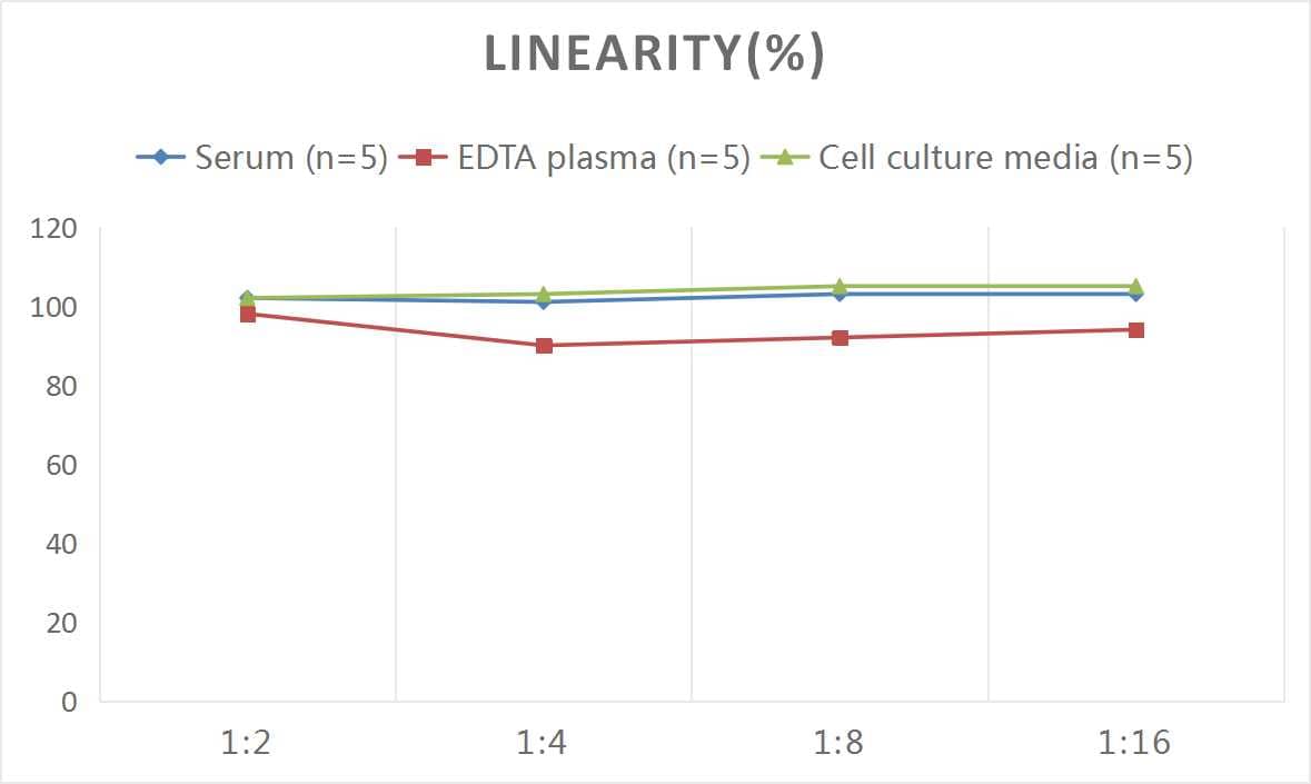 Rat eNOS ELISA Kit (Colorimetric)