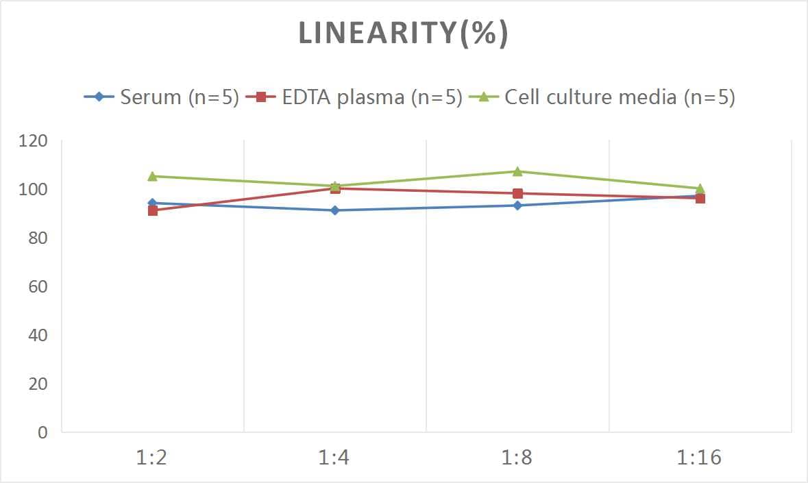 Mouse Orexin A/Hypocretin-1 ELISA Kit (Colorimetric)