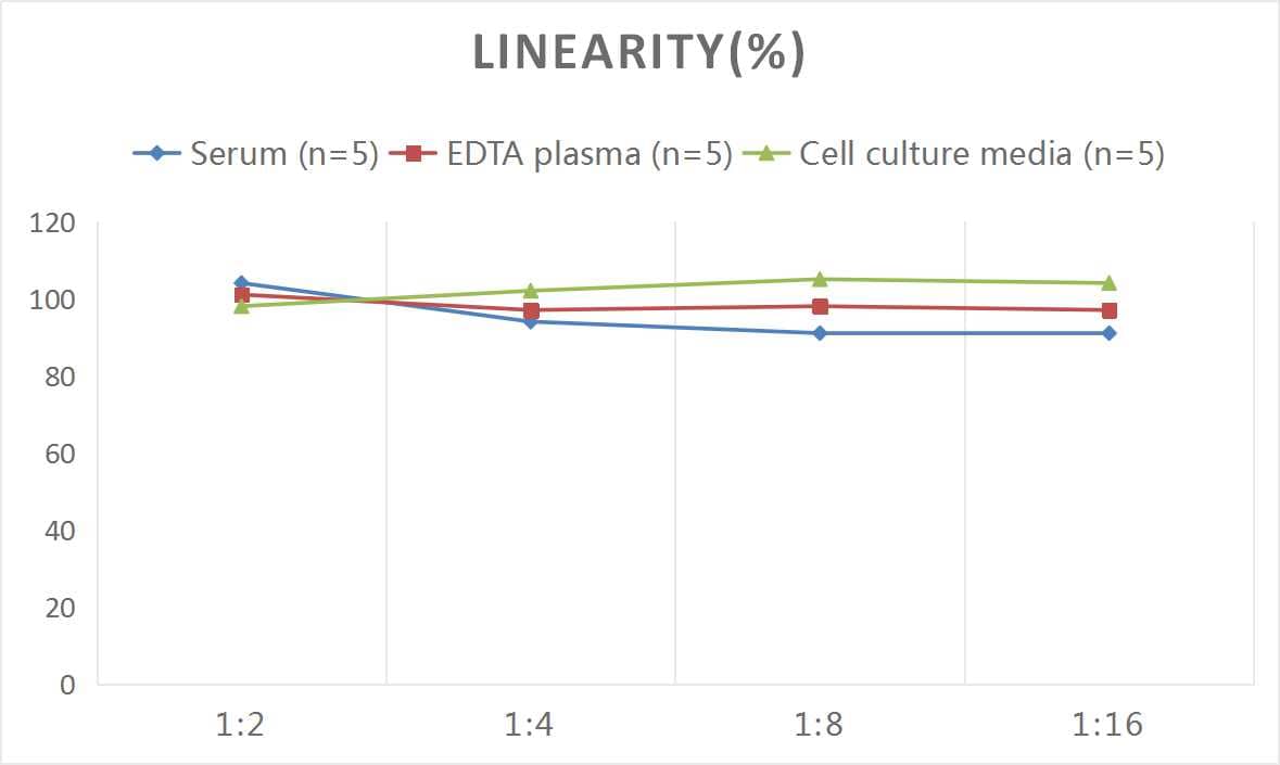 Rat Orexin A/Hypocretin-1 ELISA Kit (Colorimetric)