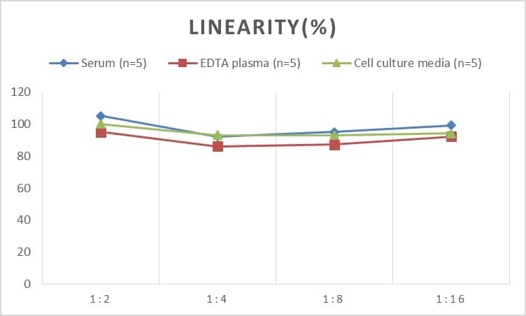 Mouse IGFBP-2 ELISA Kit (Colorimetric)