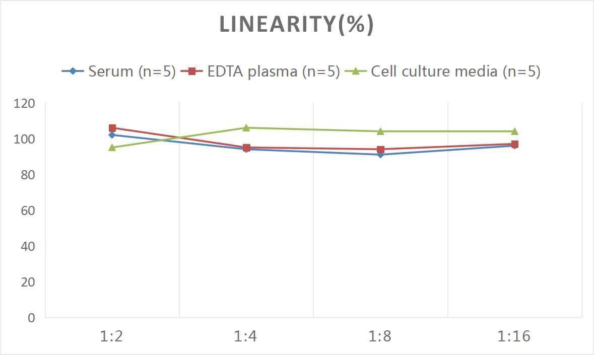 Human Orexin B/Hypocretin-2 ELISA Kit (Colorimetric)