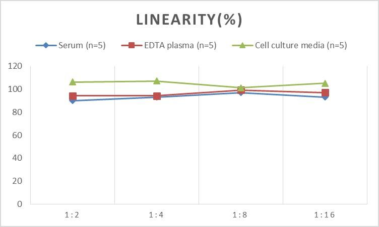 Rat Orexin B/Hypocretin-2 ELISA Kit (Colorimetric)