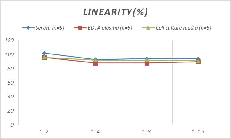 Rat IGFBP-6 ELISA Kit (Colorimetric)