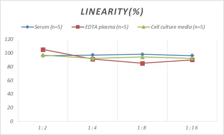 Rat IGFBP-1 ELISA Kit (Colorimetric)