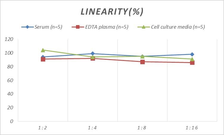 Rat IGFBP-2 ELISA Kit (Colorimetric)