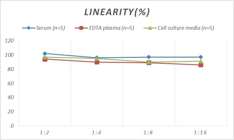 Rat IGFBP-4 ELISA Kit (Colorimetric)