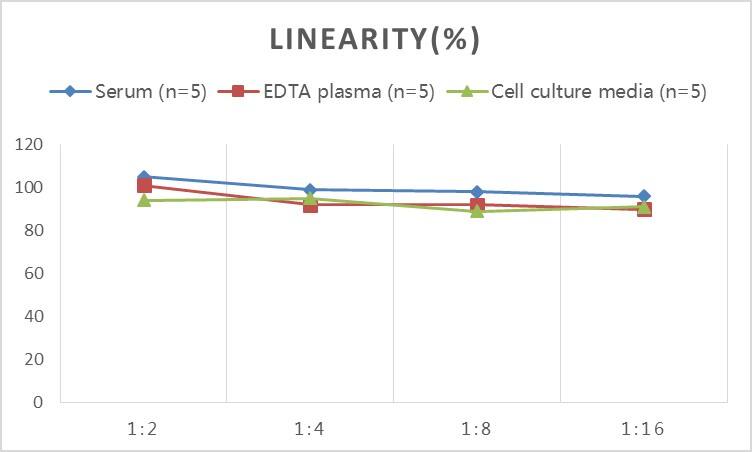 Mouse IGFBP-5 ELISA Kit (Colorimetric)