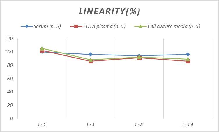 Rat IGFBP-5 ELISA Kit (Colorimetric)