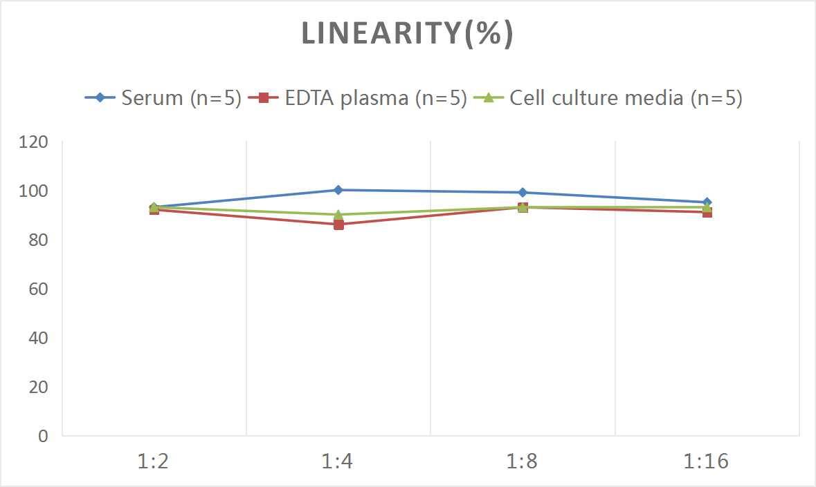 Human Jak1 ELISA Kit (Colorimetric)