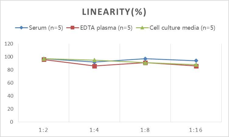 Human MAP2 ELISA Kit (Colorimetric)