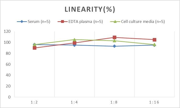 Human MAP2 ELISA Kit (Chemiluminescence)