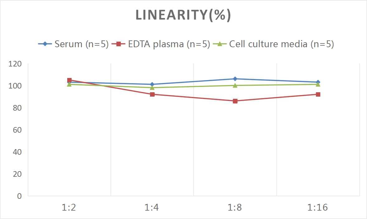 Mouse nNOS ELISA Kit (Colorimetric)