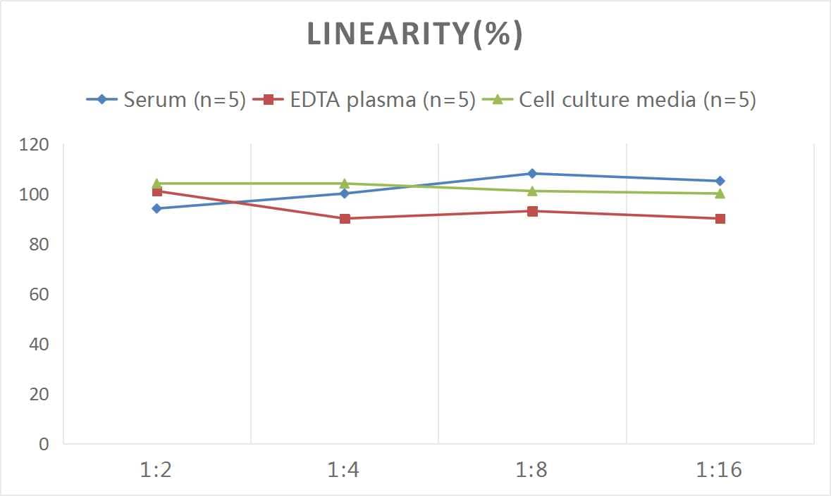 Rat iNOS ELISA Kit (Colorimetric)