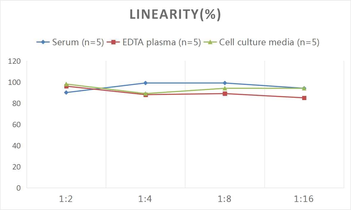 Human Ornithine Carbamoyltransferase ELISA Kit (Colorimetric)