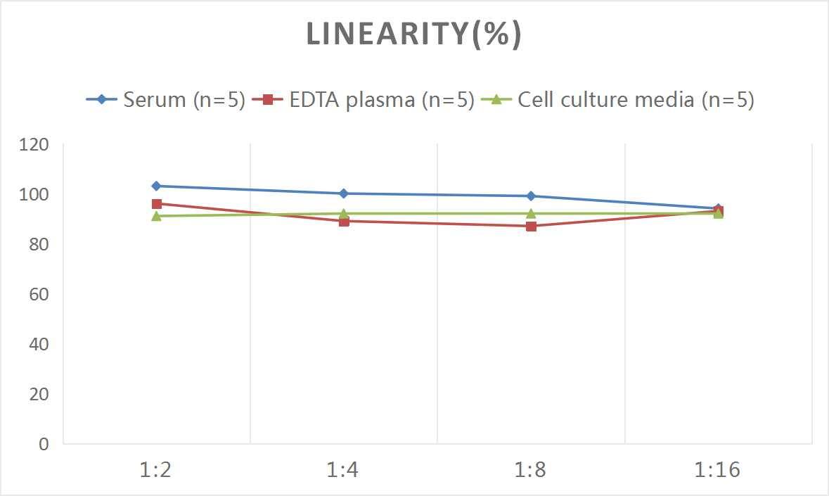 Mouse Ornithine Carbamoyltransferase ELISA Kit (Colorimetric)