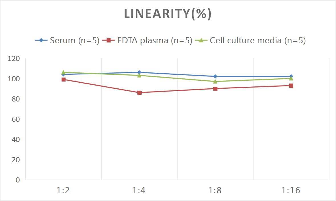 Rat Renin ELISA Kit (Colorimetric)