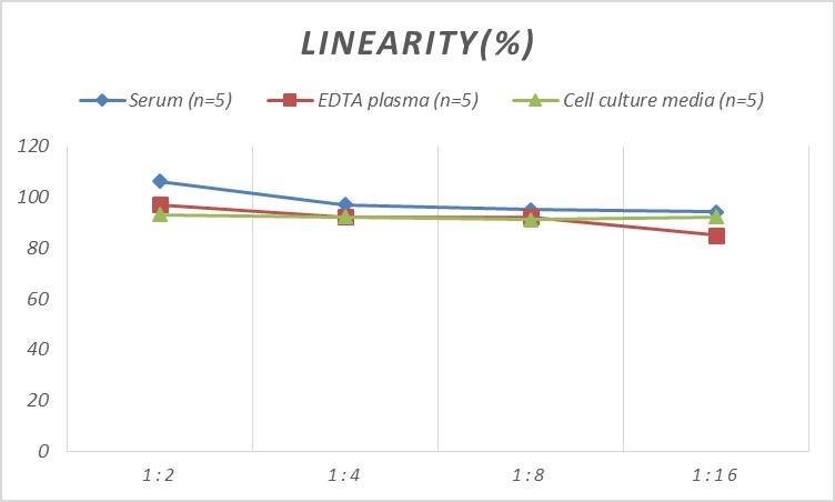 Rat SeP ELISA Kit (Colorimetric)