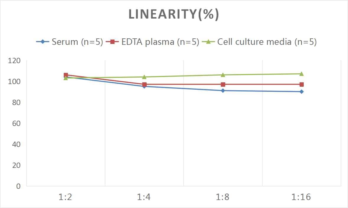 Human Somatostatin ELISA Kit (Colorimetric)