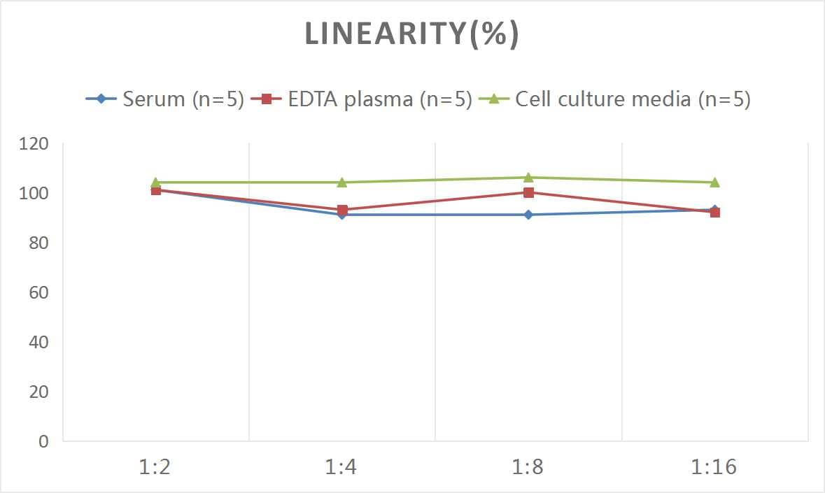 Rat Somatostatin ELISA Kit (Colorimetric)