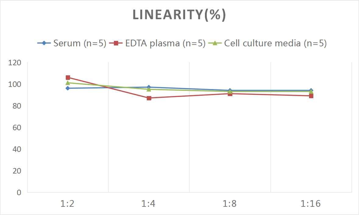 Human Somatostatin R2/SSTR2 ELISA Kit (Colorimetric)