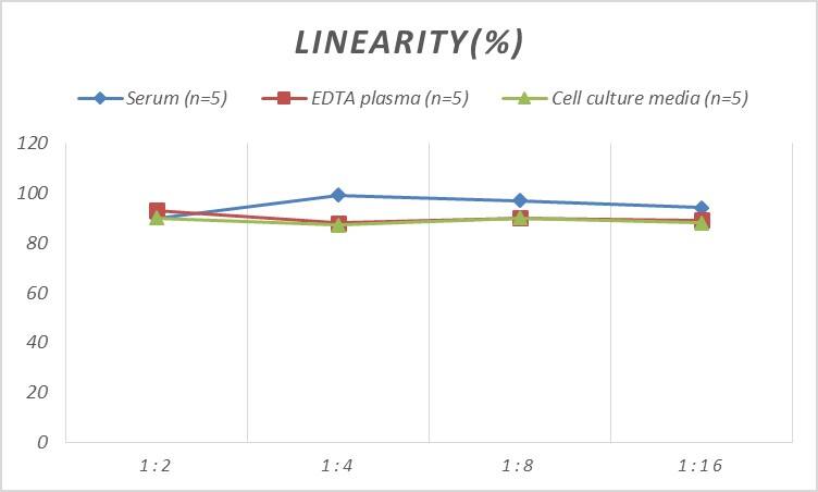 Human Somatostatin R5/SSTR5 ELISA Kit (Colorimetric)