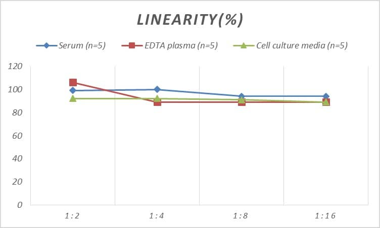 Human STAT5A ELISA Kit (Colorimetric)