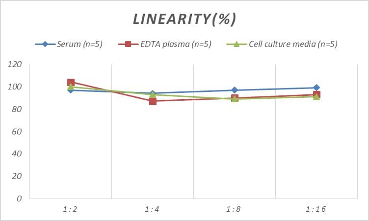 Mouse STAT5A ELISA Kit (Colorimetric)