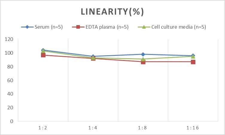 Rat STAT5b ELISA Kit (Colorimetric)