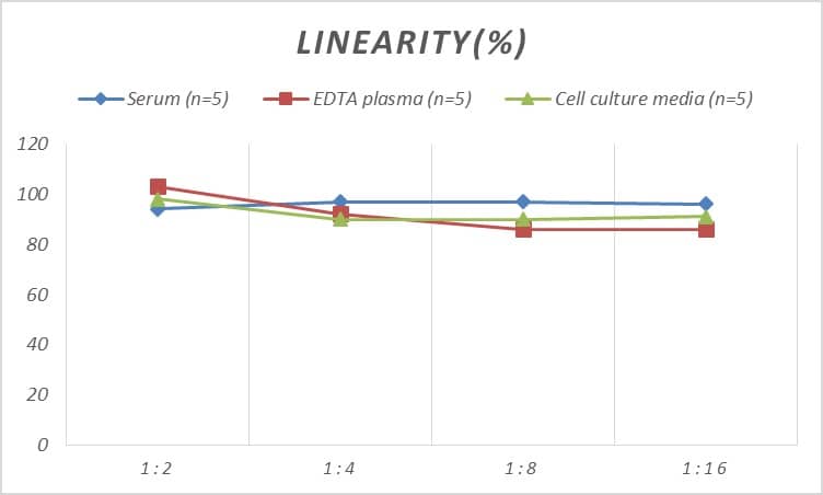 Human Synaptophysin ELISA Kit (Colorimetric)