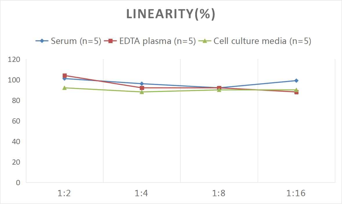 Mouse Synaptophysin ELISA Kit (Colorimetric)