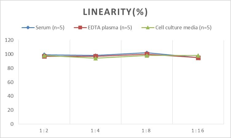 Monkey Synaptophysin ELISA Kit (Colorimetric)