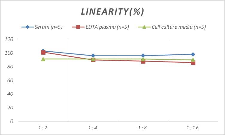 Human NK2R ELISA Kit (Colorimetric)