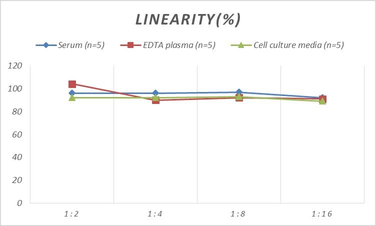 Rat NK2R ELISA Kit (Colorimetric)